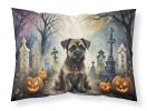 Border Terrier Spooky Halloween Standard Pillowcase Lightweight Super Soft Easy Care Decorative Artwork Pillowcase, Standard