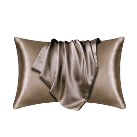 Silk Pillowcase for Hair and Skin, Mulberry Silk Pillow Cases 2Pack (Color: Champagne, size: 48X74cm)